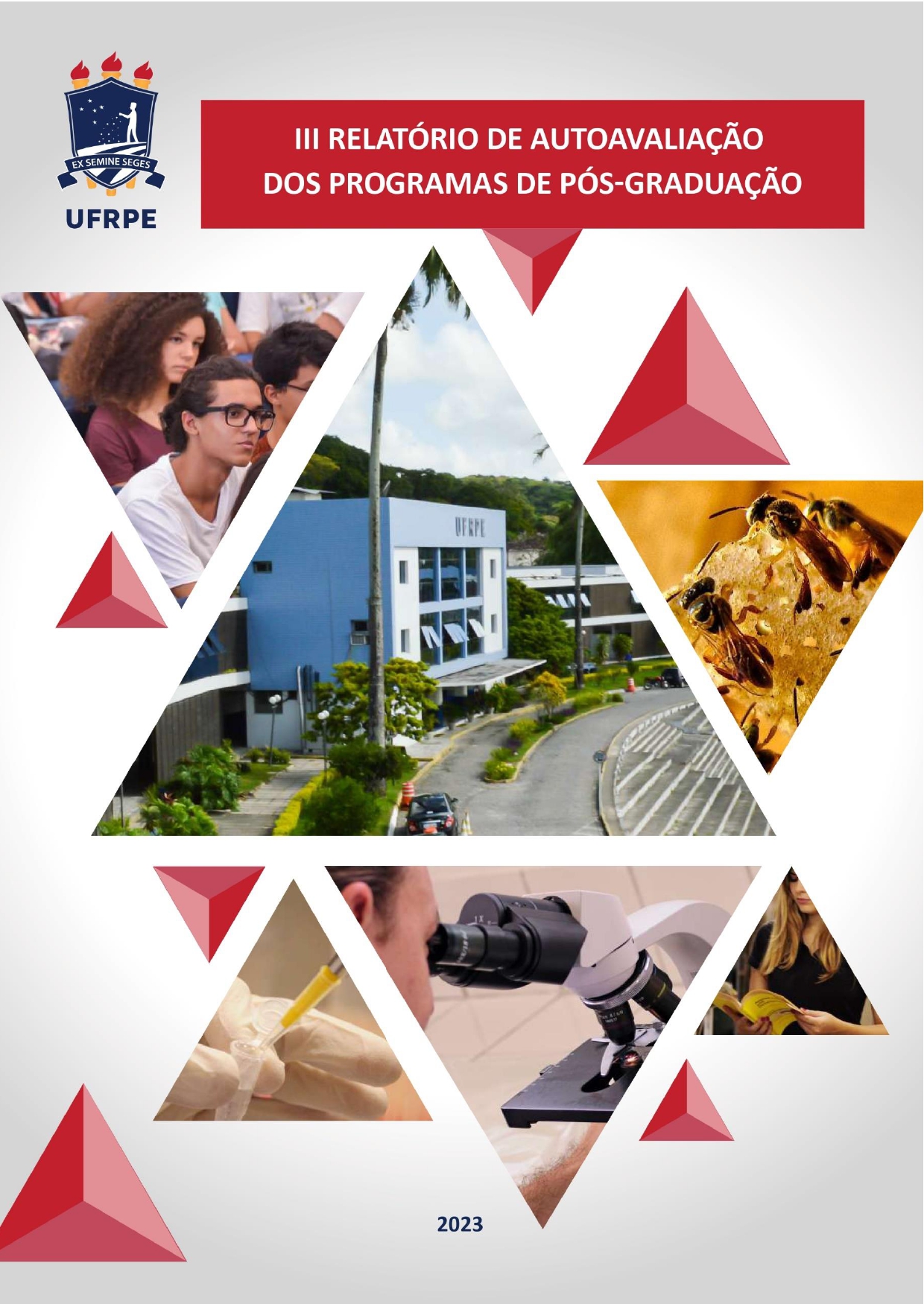 III relatório de autoavaliação